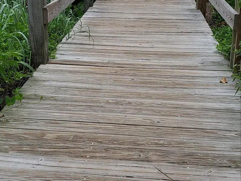 Public boardwalk to beach