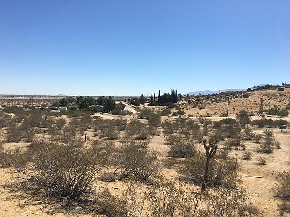 4th image of Avenue T12