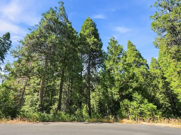 0 Foxglove Lane, Shaver Lake, CA 93664