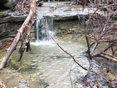 000 Meadowview Road, Galena, MO, 65656