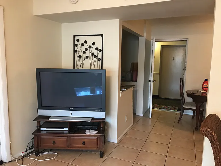 view from living room to front door