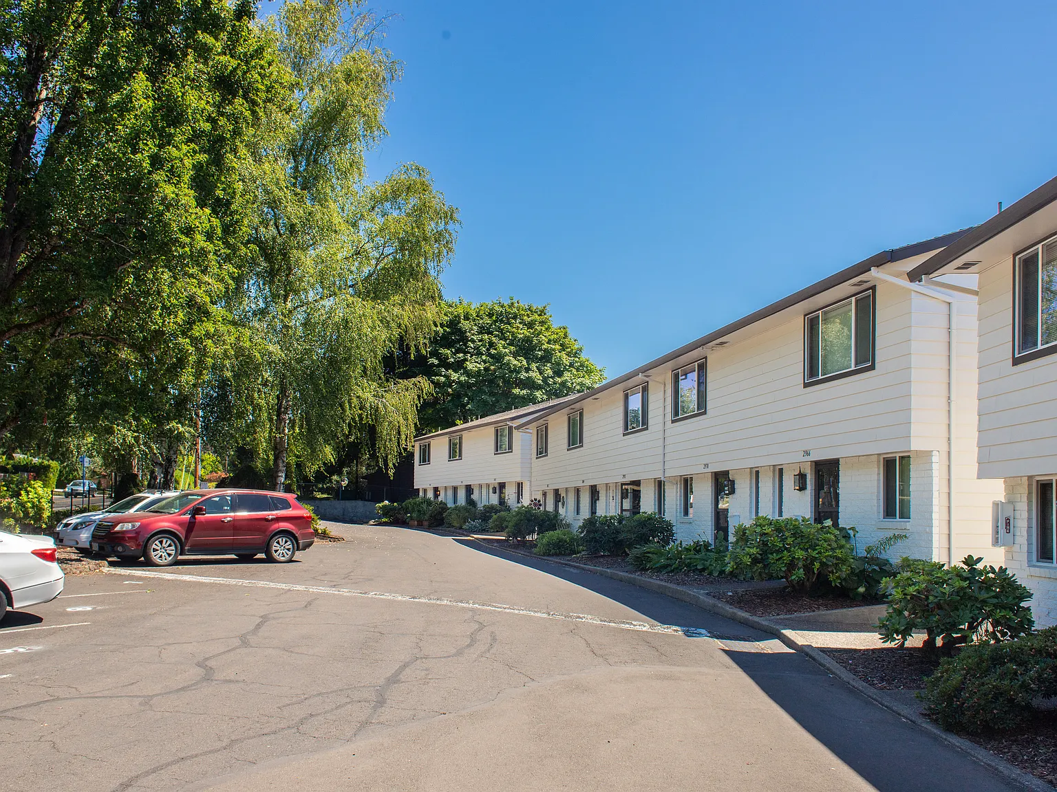 Chestnut Place Apartments — Photo 4