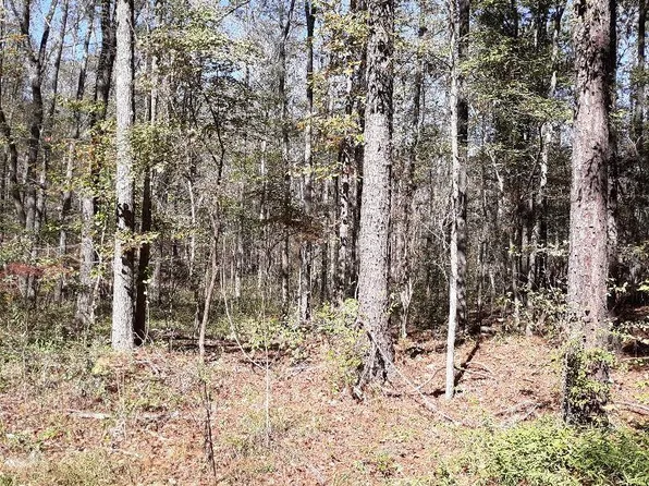 157 Crane Creek Dr, Columbia, SC 29203