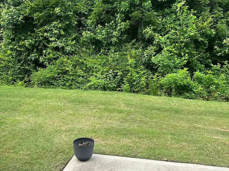 61 Moss Hollow Way — Photo 20