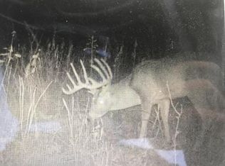 0 Half Moon Lake Rd, Hillsdale, MI 49242