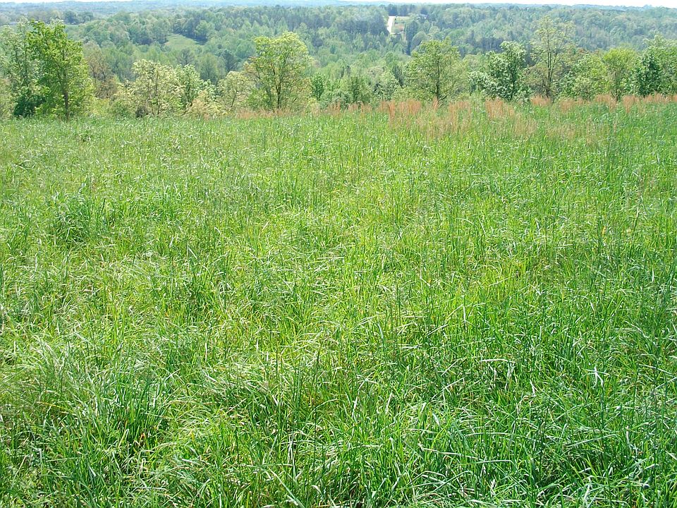 4.9 ACRES ON BLACKJACK MTN