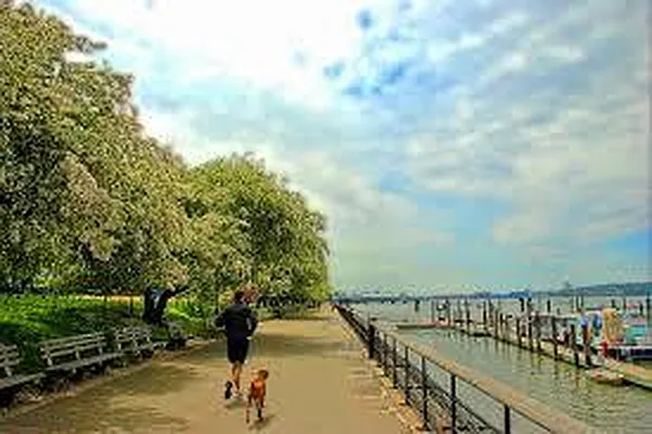 Rented by Douglas Elliman | media 20