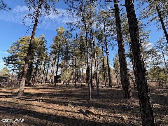 2nd image of 2360 Narrow Leaf Ln Lot 15