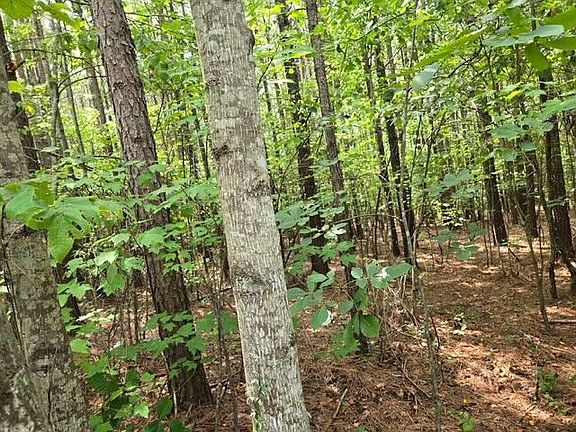 3rd image of 691 Miller Camp Rd