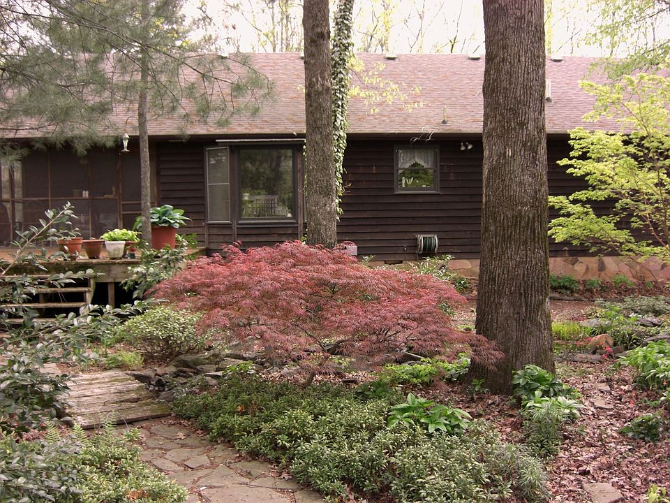 Back View of Home