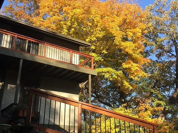 Tree color all around.