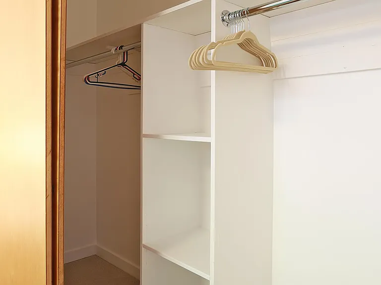 Primary Bedroom Closet with Built-Ins