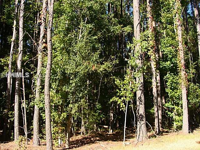 2nd image of 59 Palmetto Cove Ct