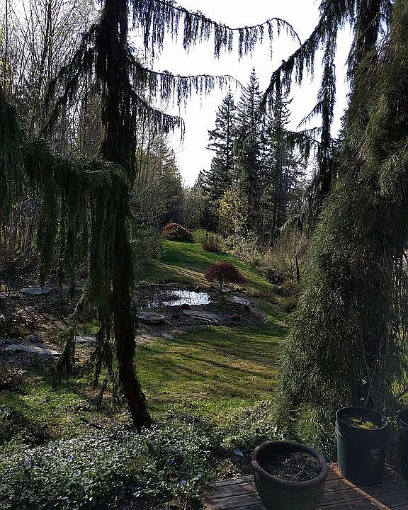 2nd image of 4148 287th Ave SE