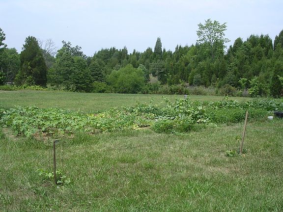1/3 acre vacant land