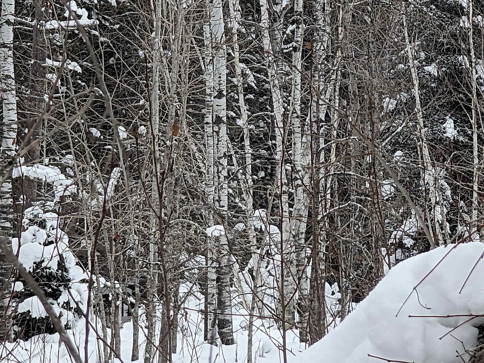 2nd image of 57695 Four Corners Store Rd