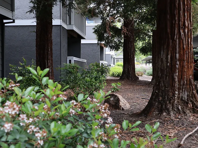 Ventana Apartments — Photo 13