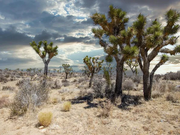 112 Angel View Rd, Pioneertown, CA 92268