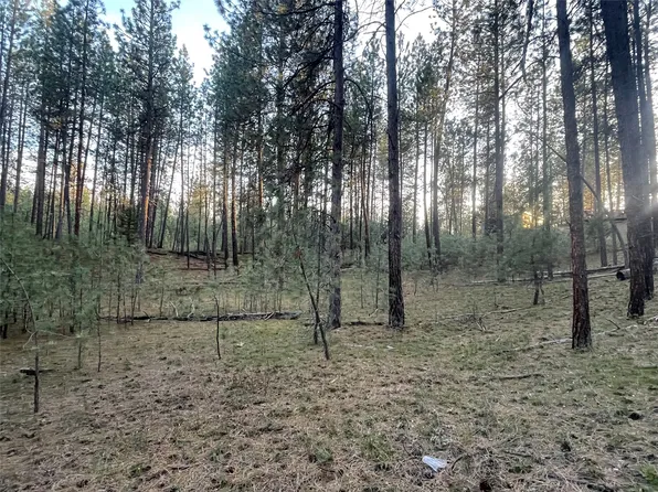 Nhn Leanin Tree Ln Lot 15, Pablo, MT 59855