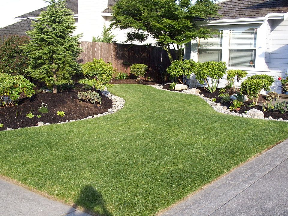 Front yard