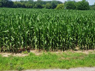 12200 Morseville Rd, Birch Run, MI 48415