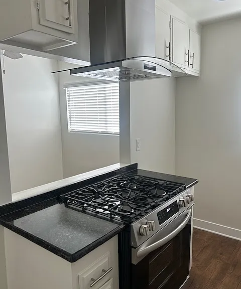 New Range Stove