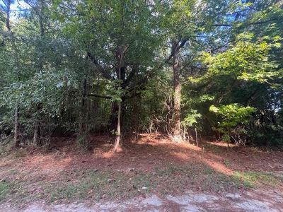 Comstock Ln, Manning, SC, 29102