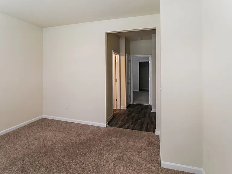 295 Hamilton Pointe Dr — Photo 18