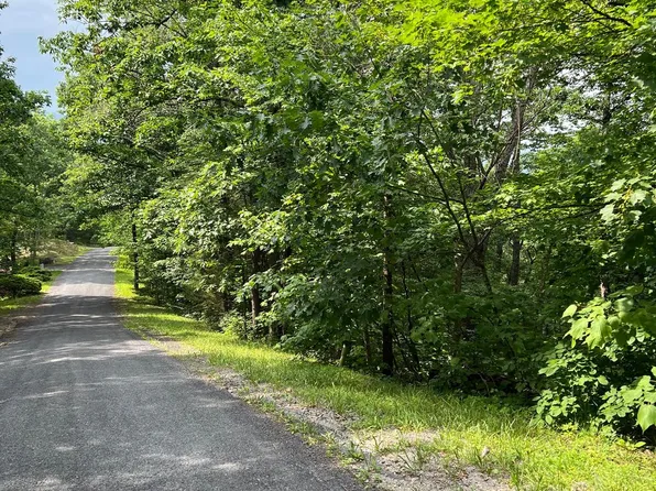 156 & 158 Vickie Way, Basye, VA 22810