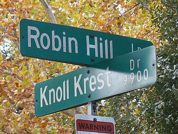 5th image of 9806 Robin Hill Ln