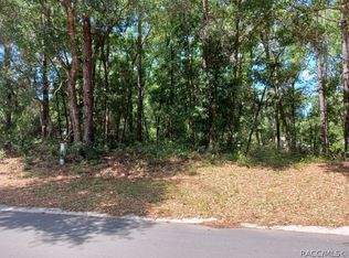 917 Birch Ave, Inverness, FL 34452