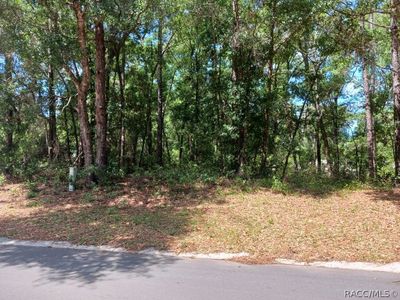 917 Birch Ave, Inverness, FL, 34452