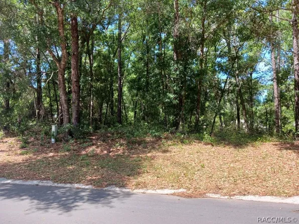 917 Birch Ave, Inverness, FL 34452