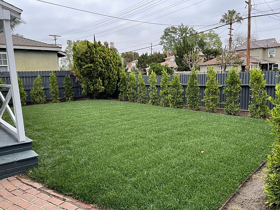 This image shows size of front yard & Ficus plants when they were planted. They are 7 feet tall now.
