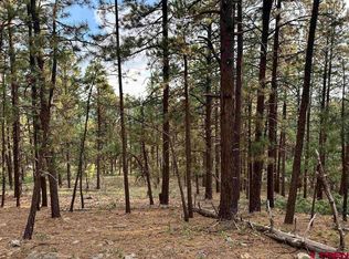 259 Hillside Circle, Bayfield, CO 81122