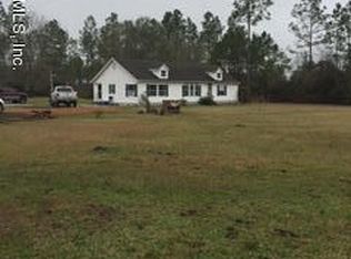 20080 Noah Raulerson Rd, Sanderson, FL 32087