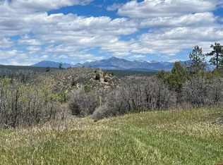 1030D COUNTY RD 139, Pagosa Springs, CO 81147