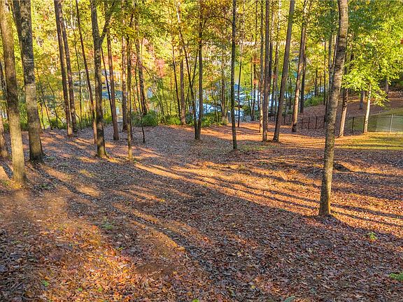 5th image of 1412 Cool Ridge Dr