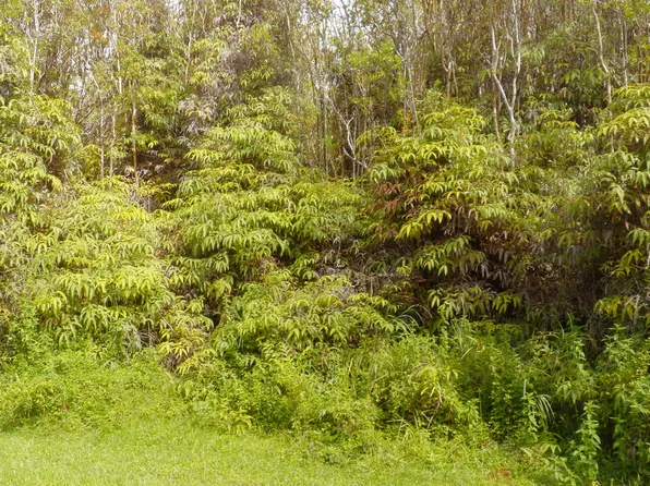 Hawaii St Lot 15, Mountain View, HI 96771
