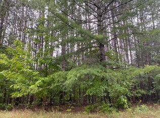 11618 Bilder Rd, Wolverine, MI 49799