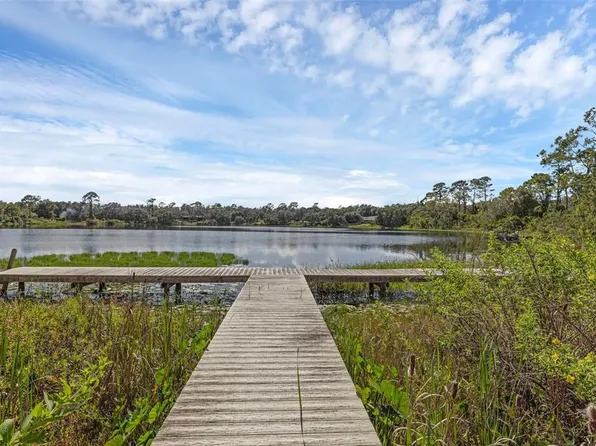 230 Fisher Run, Ocklawaha, FL 32179