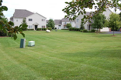 Backyard Photo
