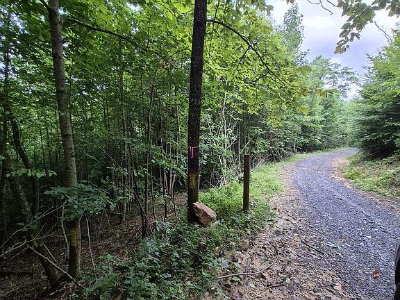 4th image of 6300 Hurricane Ridge Rd