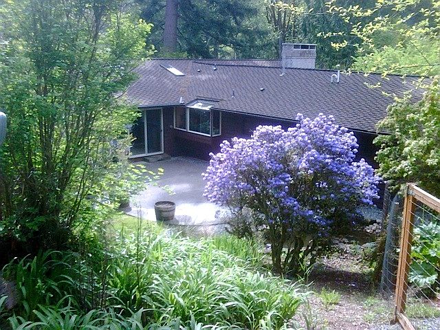 Lots of mature landscape on 4.81 acres