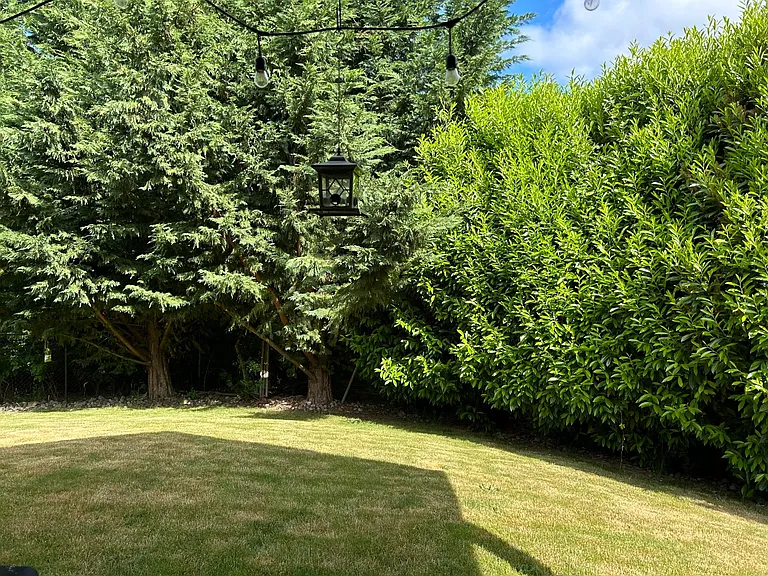 509 N Helens View Dr — Photo 12