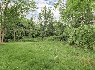 871 E 131st St, Cleveland, OH 44108