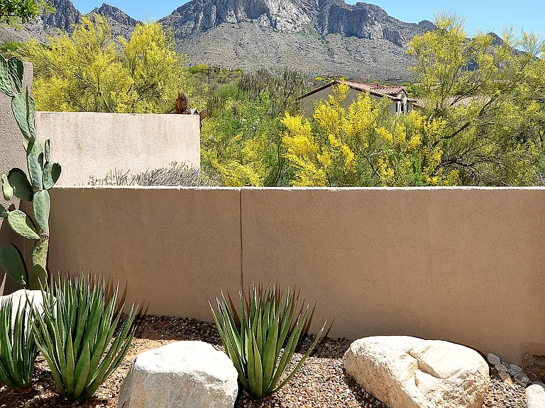 1600 E Deer Shadow Ln — Photo 6