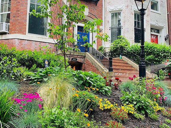 A row of gorgeous rowhouses