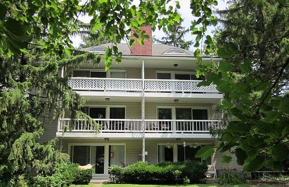 Back of building facing Bellona AVE overlooking the common back yard.