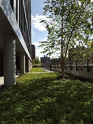 Rented by Town Residential